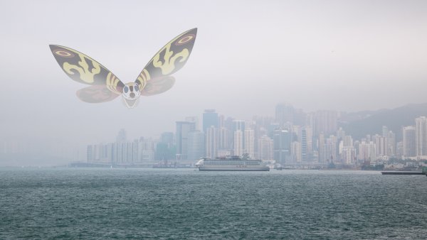 Kaiju in Hong Kong