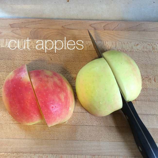 Apple Dessert Thingy