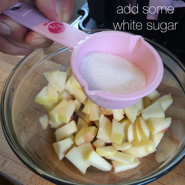 Apple Dessert Thingy