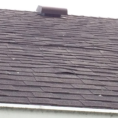 House For Sale. As Is. New Roof! (Some Assembly Required.)