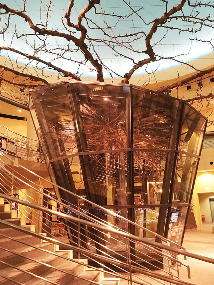 🇯🇵 Japan: Pear Museum