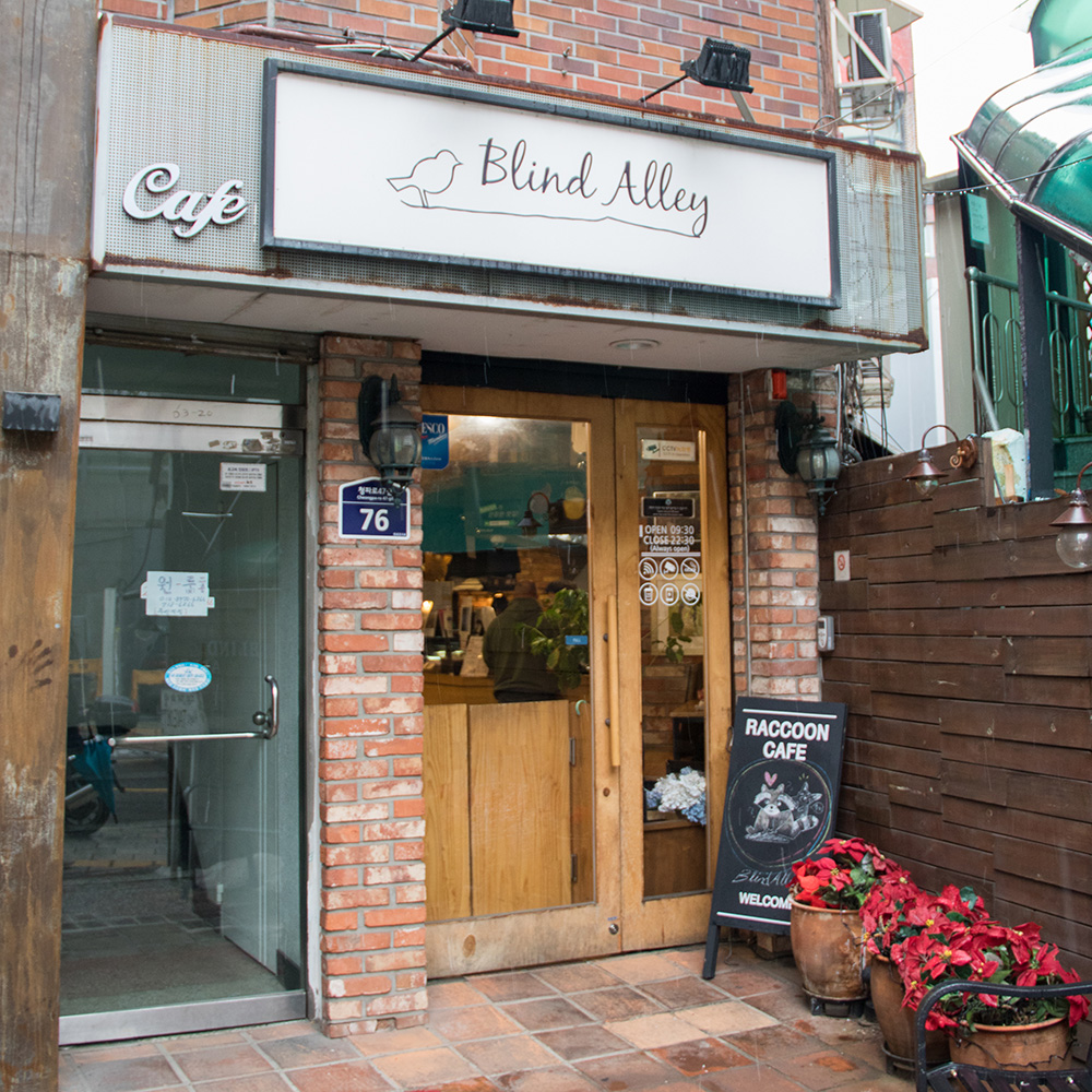 🇰🇷 Raccoon Cafe